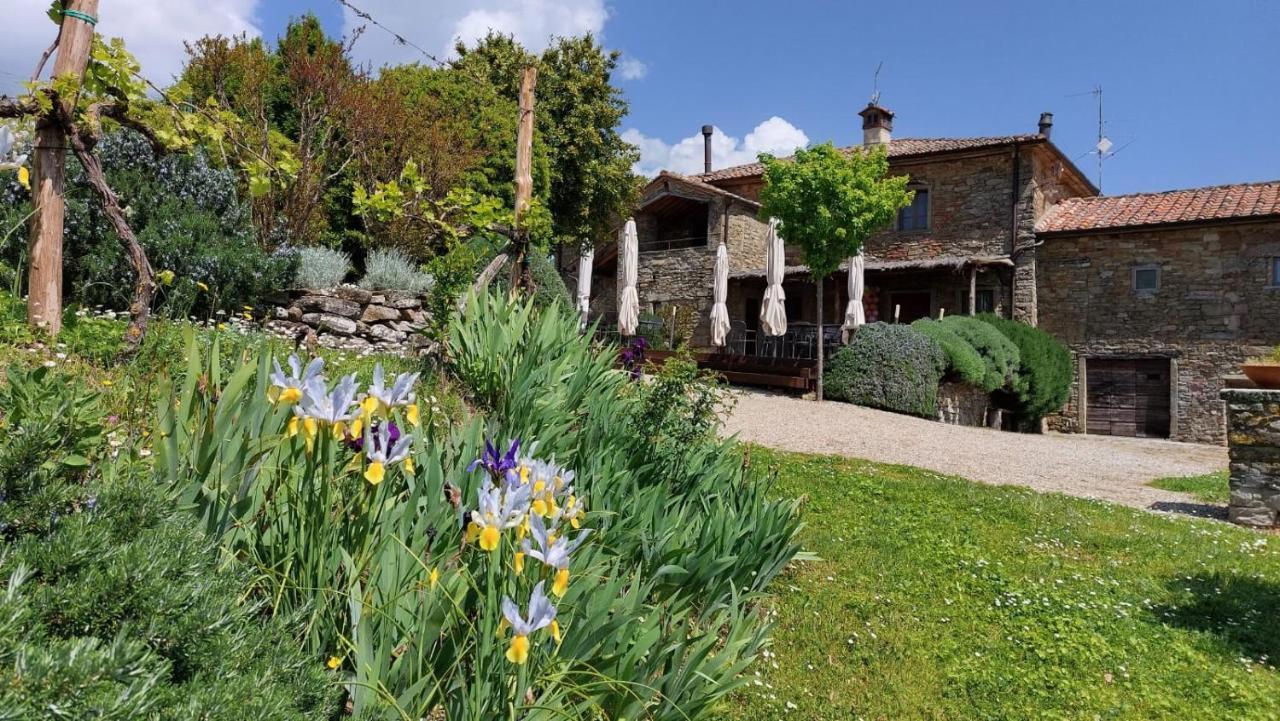 אניירי Locanda Del Viandante B&B מראה חיצוני תמונה