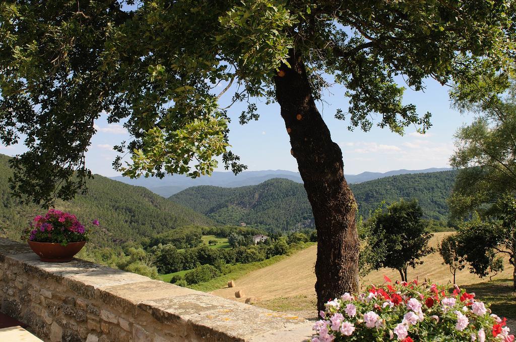 אניירי Locanda Del Viandante B&B מראה חיצוני תמונה